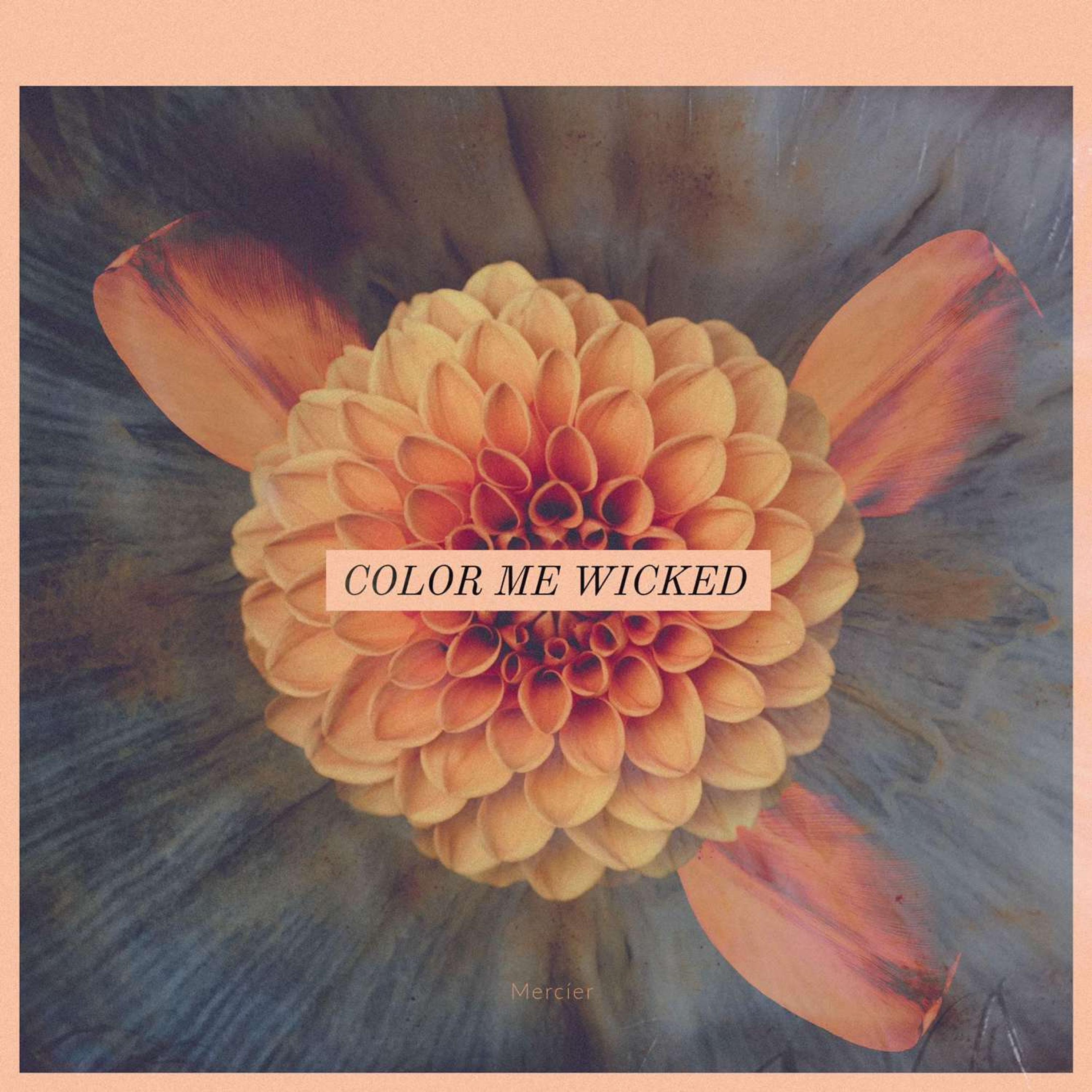 Color Me Wicked