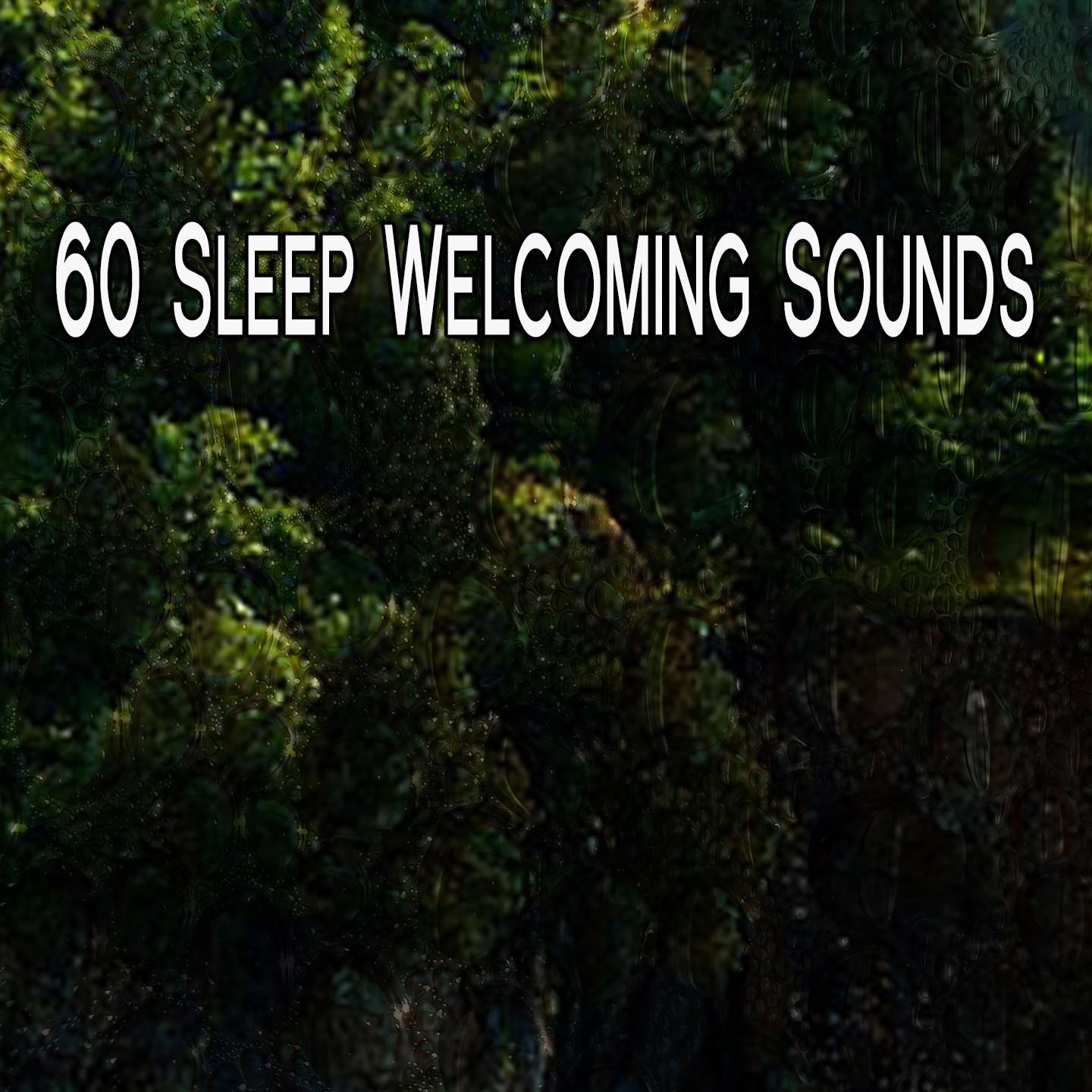 60 Sleep Welcoming Sounds专辑