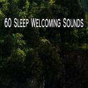 60 Sleep Welcoming Sounds专辑