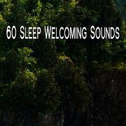 60 Sleep Welcoming Sounds