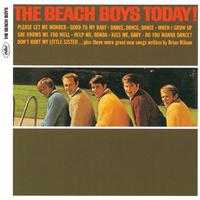 The Beach Boys - Please Let Me Wonder (instrumental)