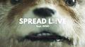 Spread Love (Paddington)专辑