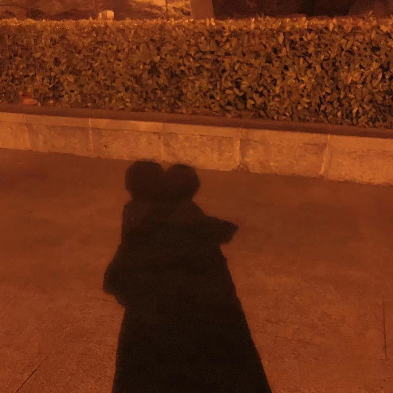 可直到你出现让我微笑