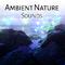 Ambient Nature Sounds – Calm Your Mind, Relaxing Melodies, Stress Free, Inner Harmony专辑