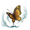 Monarch Butterfly专辑
