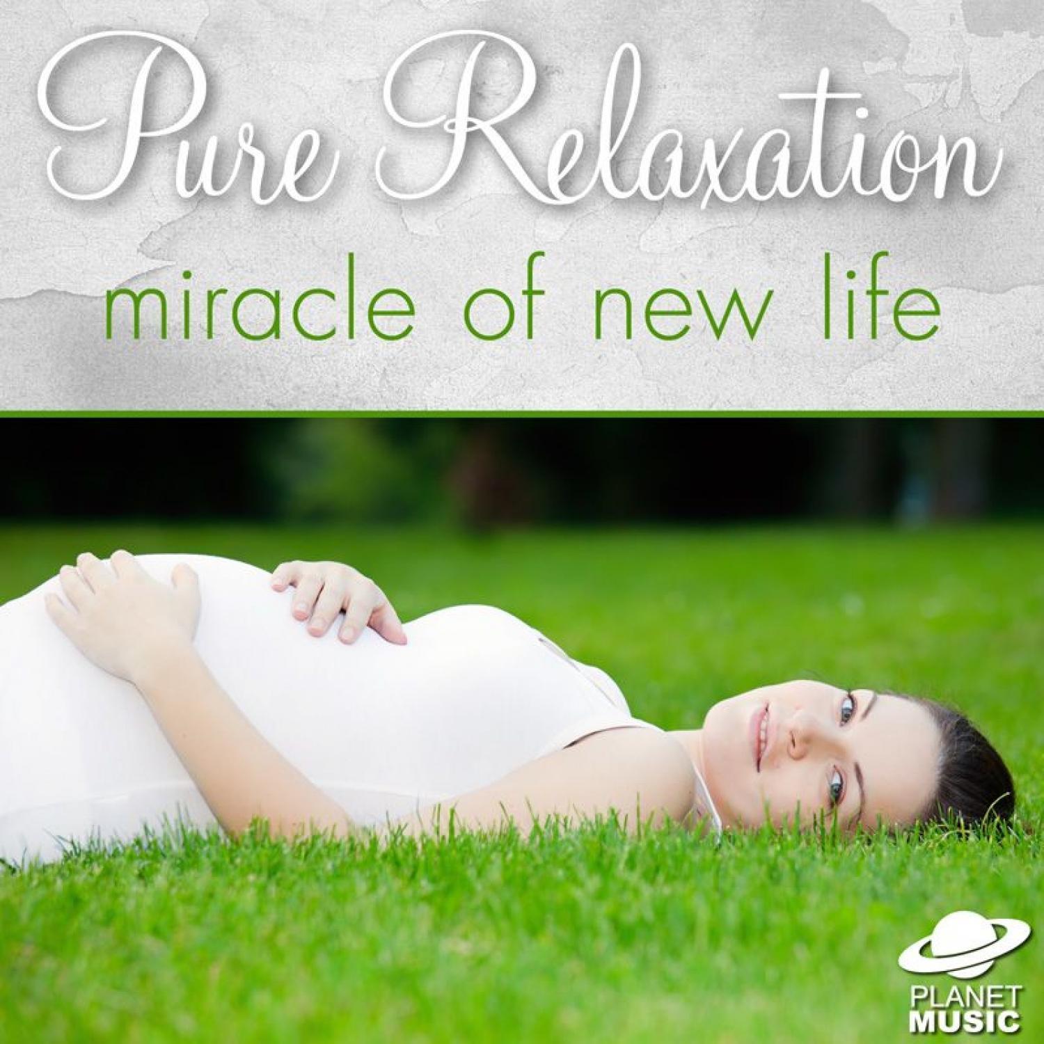 rejoicing - the hit co. - 单曲 - 网易云音乐