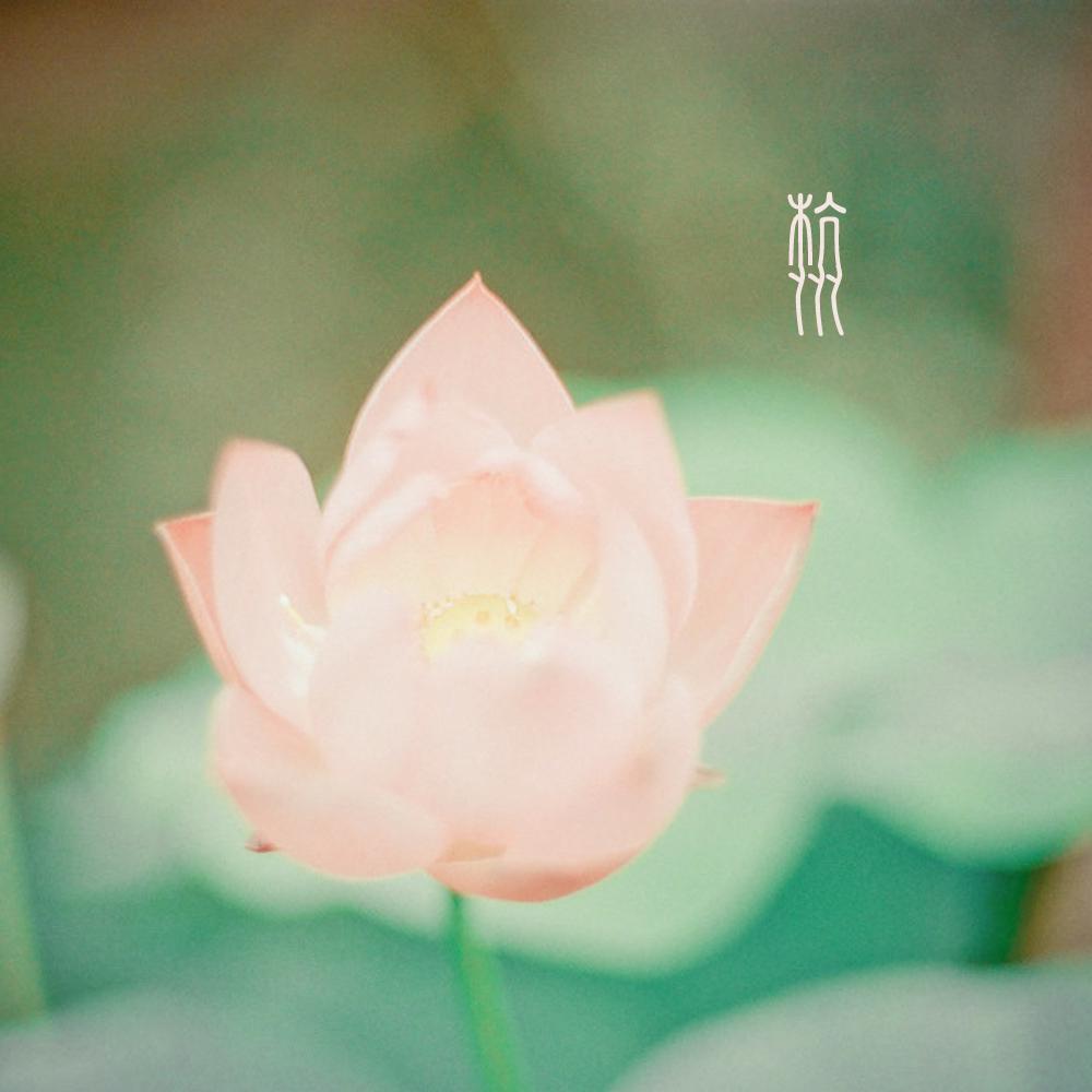 杭州