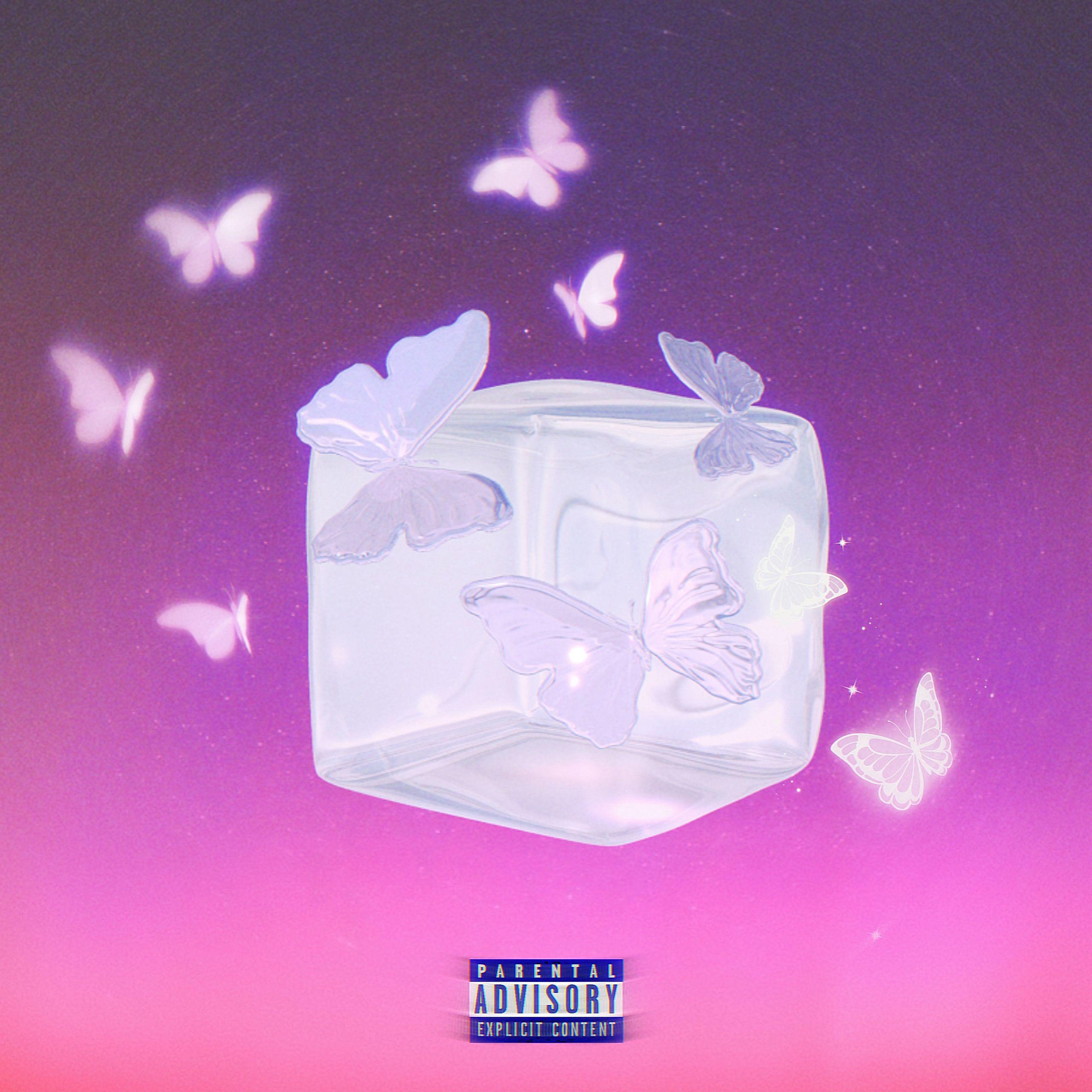 蝴蝶（Butterfly）