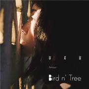 Bird n' Tree