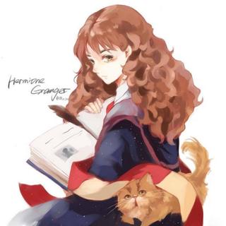 哈利波特氛围白噪音