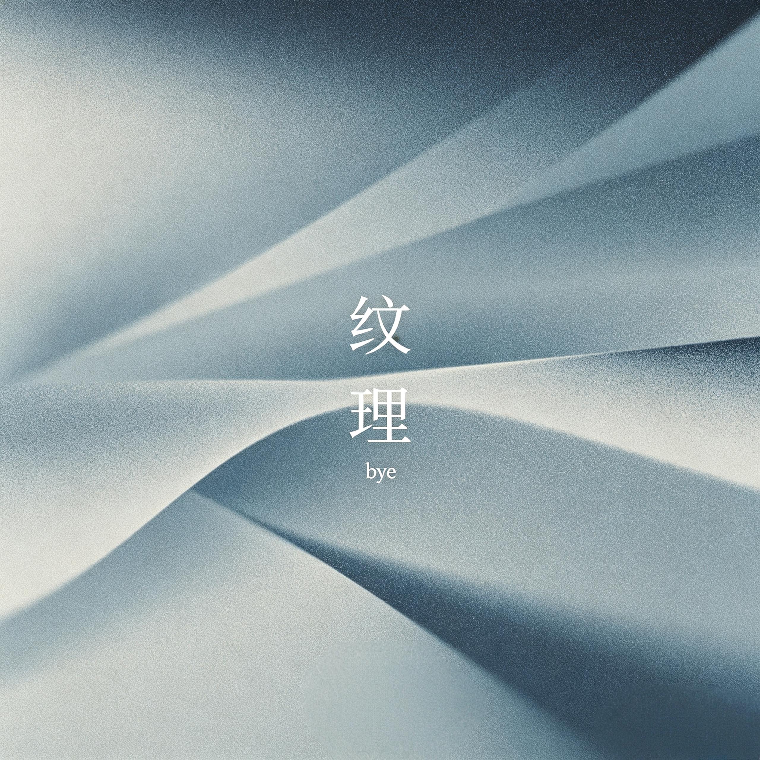 纹理