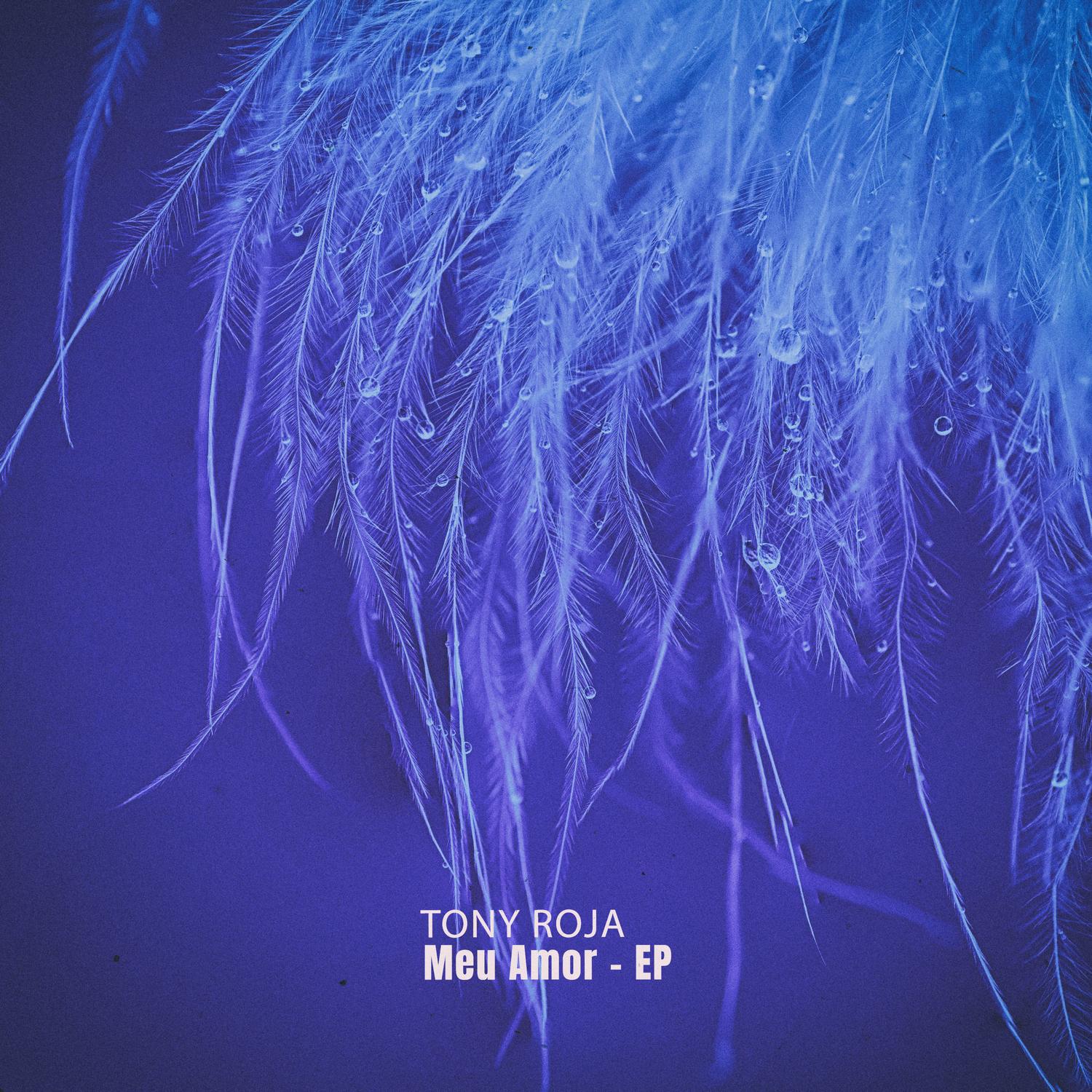 Meu Amor - EP