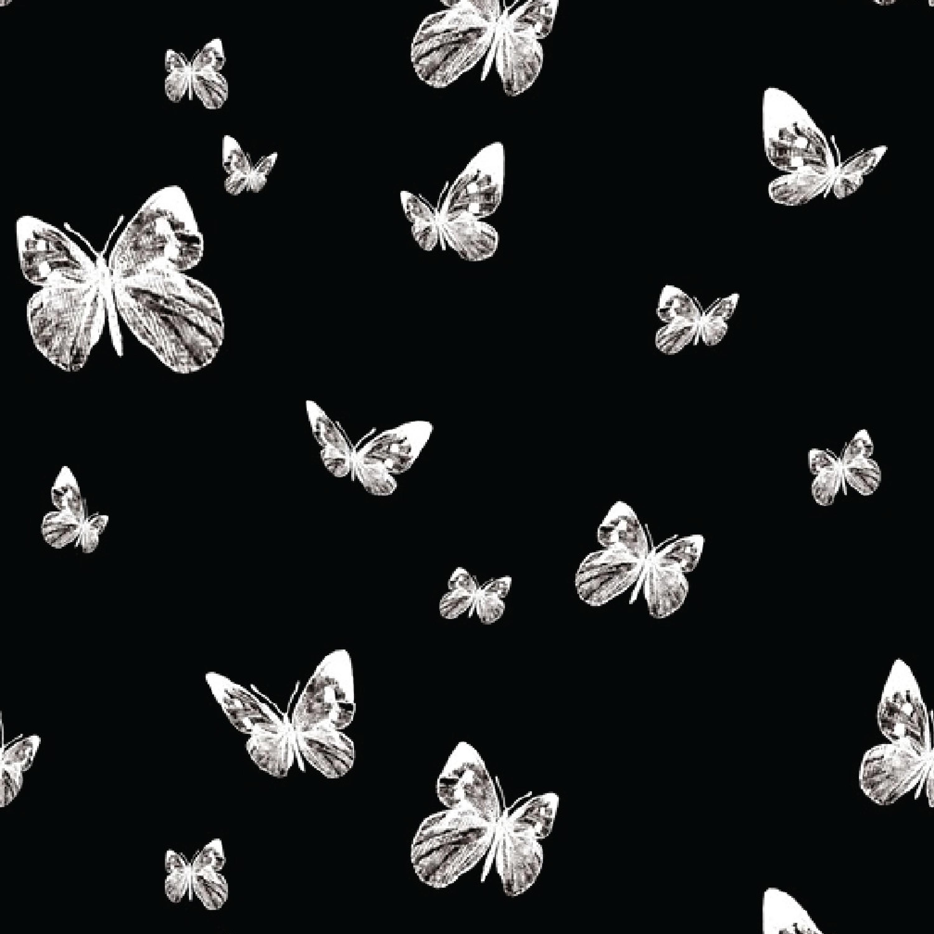 butterflies. (feat. Cairo the Mask & FLYNN)
