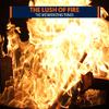 Ambient Fire Focus Music - The Fire Melodic Feeding