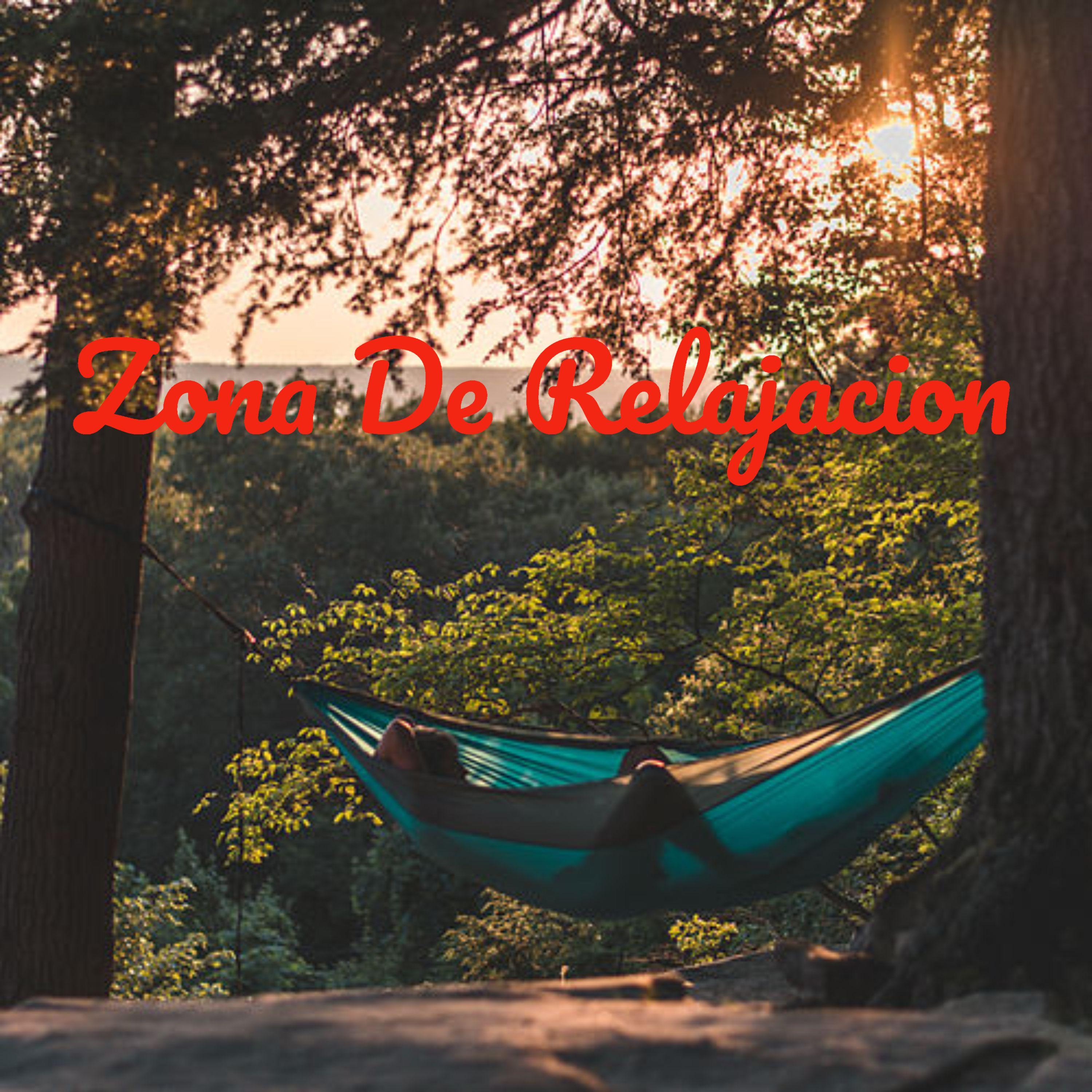 Zona de Relajacion