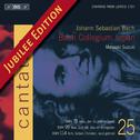 BACH, J.S.: Cantatas, Vol. 25 (Suzuki) - BWV 78, 99, 114