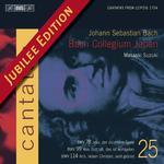 BACH, J.S.: Cantatas, Vol. 25 (Suzuki) - BWV 78, 99, 114专辑