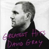 David Gray - Hospital Food (PT karaoke) 带和声伴奏