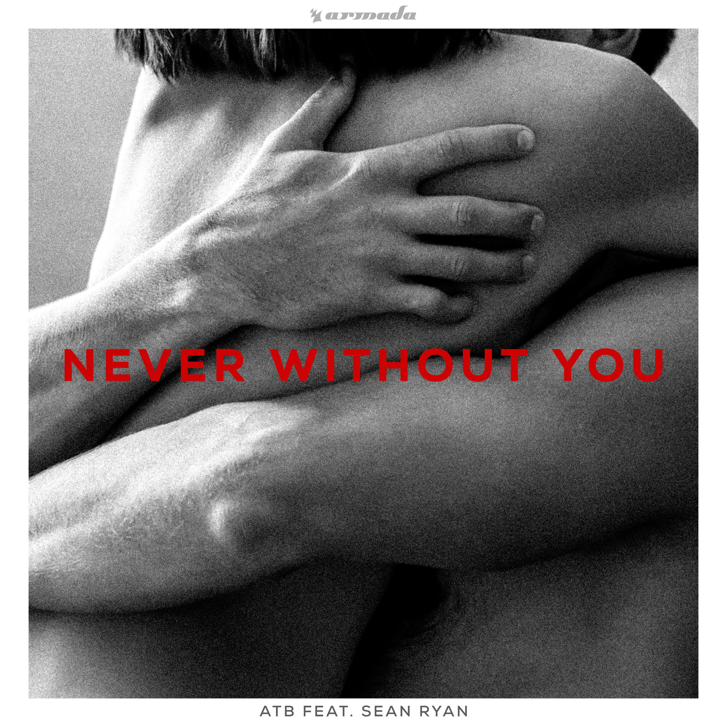 Never Without You (feat. Sean Ryan)专辑