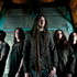 Shadows Fall