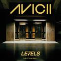 Levels (Andy E. Young Remix)专辑