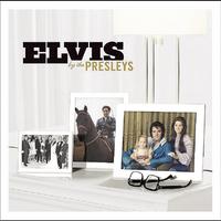 You ve Lost That Loving Feeling - Elvis Presley (karaoke)