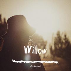 Willow(Tribute to Taylor Swift)（翻自 Various Artists）