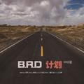 B.R.D 计划