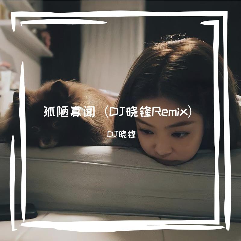 孤陋寡闻（DJ晓锋Remix）