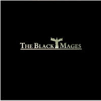 THE BLACK MAGES - 片翼の天使(final fantacy VII)
