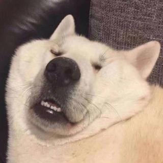 拾壹的沙雕歌单