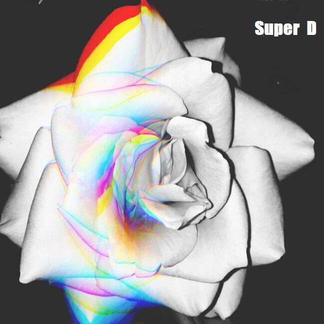 Super D歌曲封面