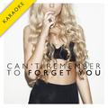 Can't Remember to Forget You (Karaoke Version) - Single