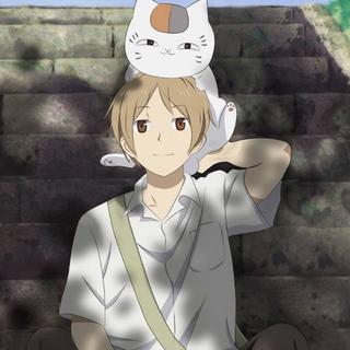 【纯音】蝉鸣之季，享受夏日午后的片刻宁静