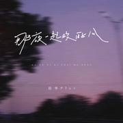 那夜一起吹的风
