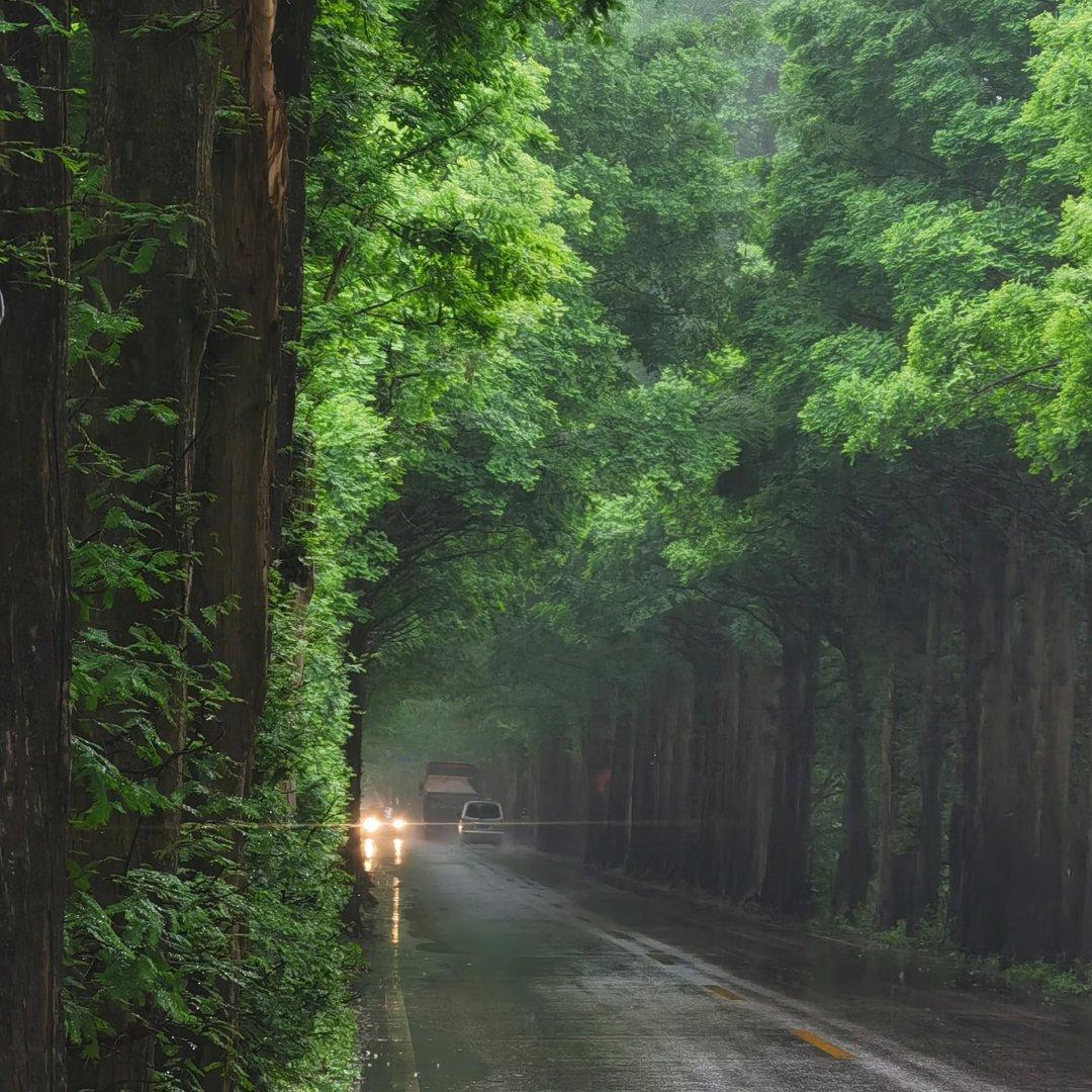 小半（cover陈粒）