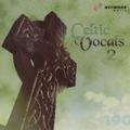 Celtic Vocals, Vol. 2