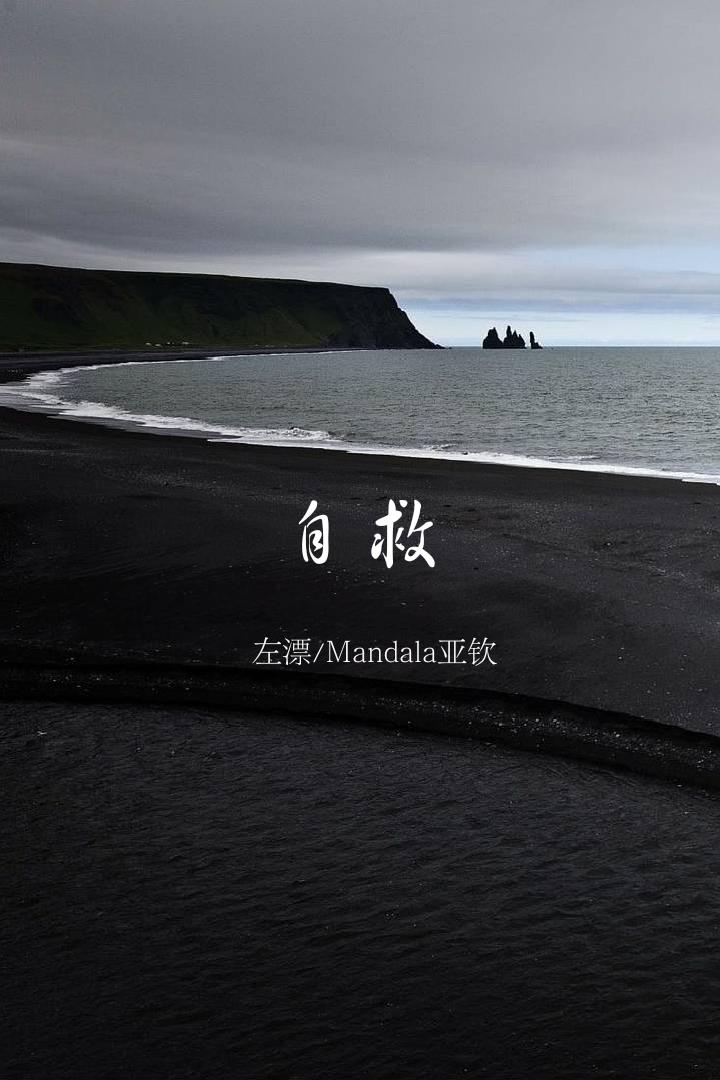 自救专辑