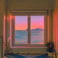 夏夜晚风：把玫瑰藏于盛夏 把海棠藏于深海