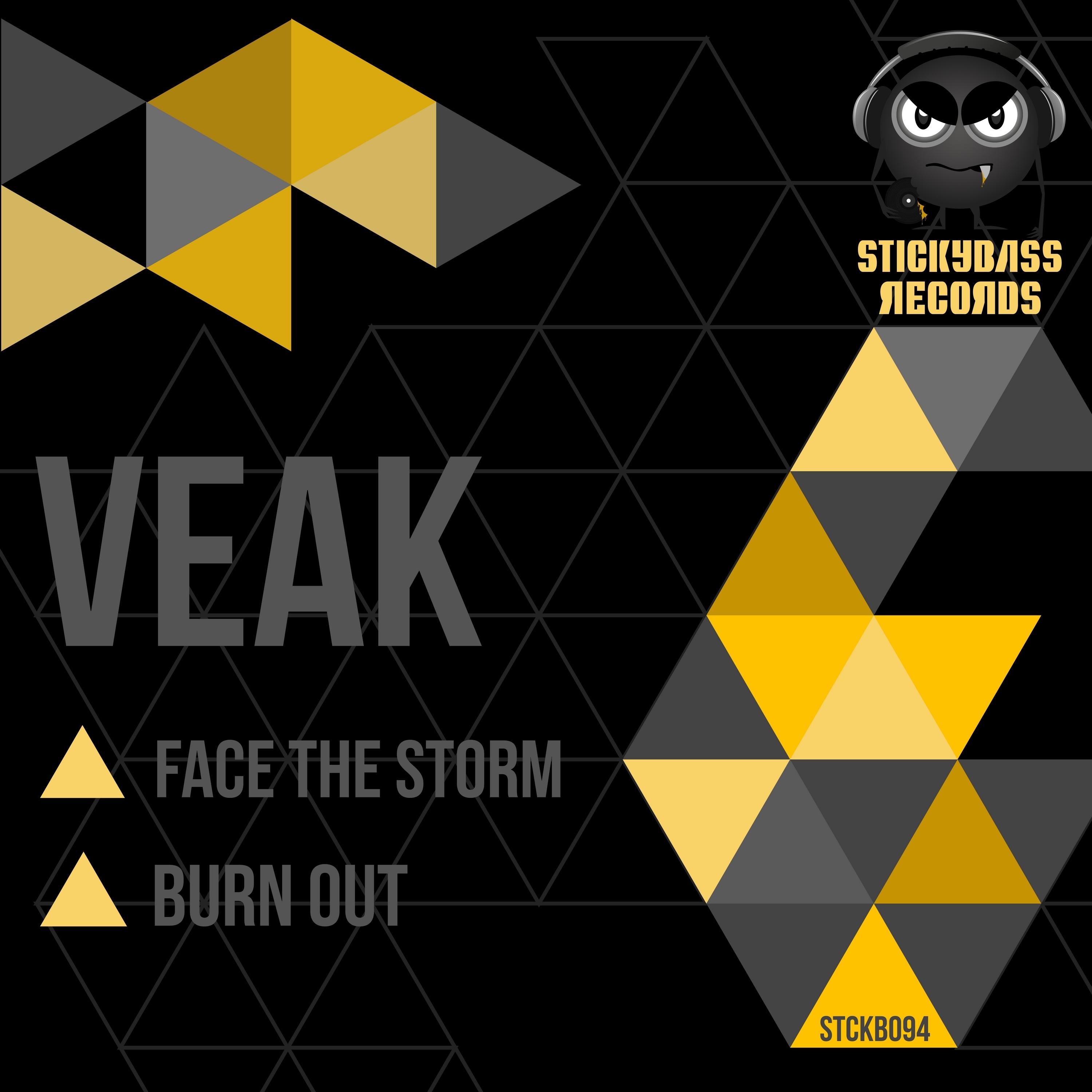 Face the Storm / Burn Out