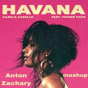 Havana