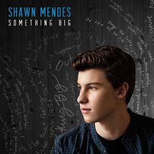 Something Big - Shawn Mendes (Karaoke Version) 带和声伴奏