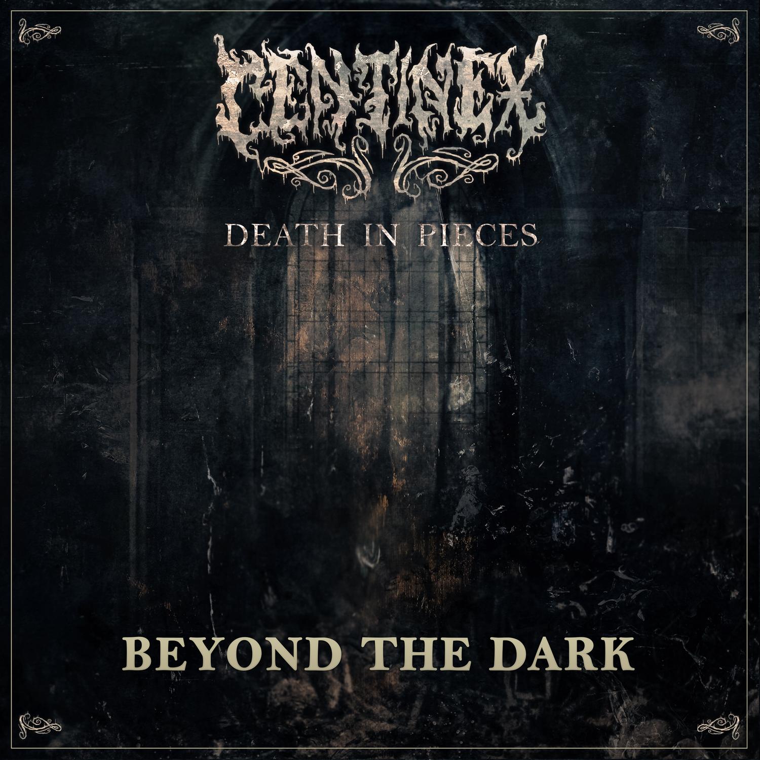 Beyond the Dark