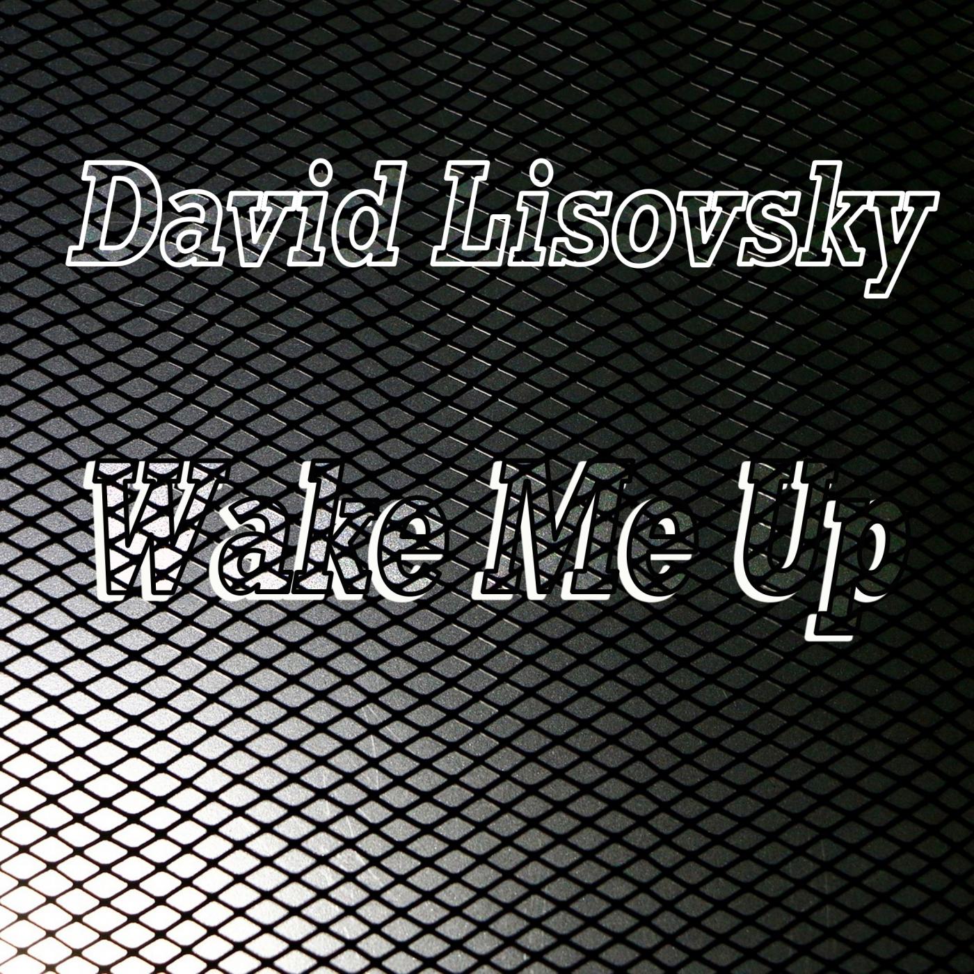 Wake Me Up