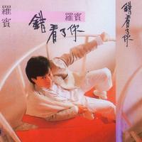 罗宾-是酒也是泪（原版男声高品质）