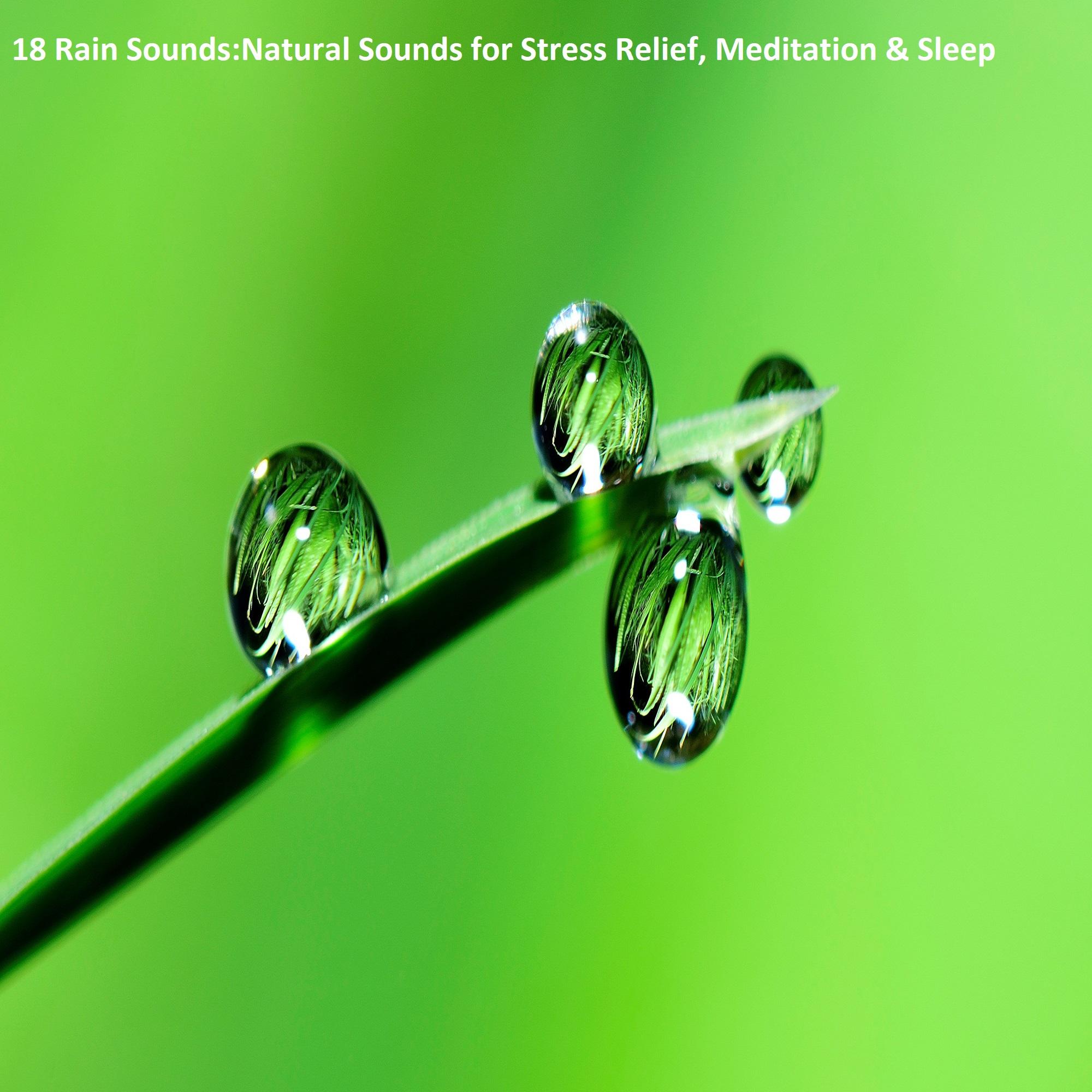 18 Rain Sounds: Natural Sounds for Stress Relief, Meditation & Sleep专辑