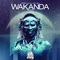 Wakanda (The Remixes)专辑