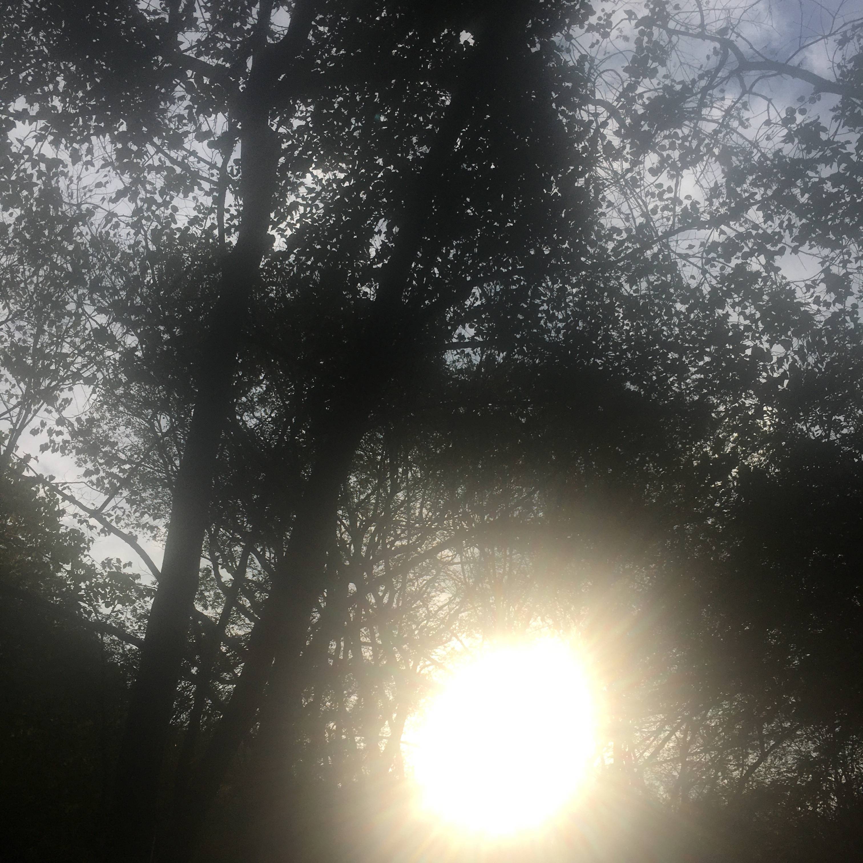 they don't like me [prod+ heroindior]