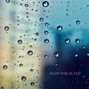 Rain for Sleep专辑