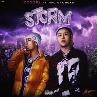 TOYOKI,mac ova seas - 暴雨-辉伴奏无合声高清立体声320K（高品质）.mp3